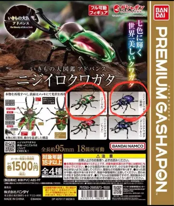 생물대도감 어드밴스 무지개사슴벌레 보라색 네이비 1점