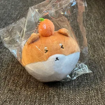 CR 키나코견 생일 KINAKOKEN 봉제 인형 키링