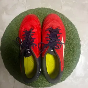 Mizuno 트레이닝 슈즈 레드/네이비