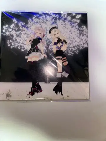 himehina 히메히나 레코드형 코스터