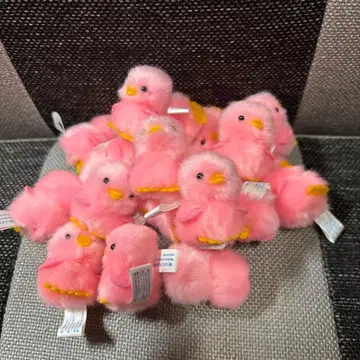 삐요리나 1호 병아리 덕분 핑크 병아리 18마리 세트