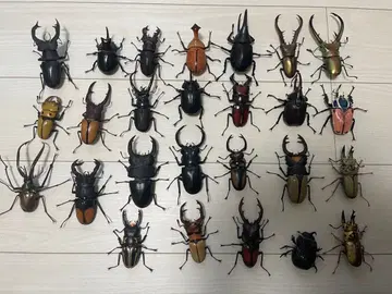 생물대도감 장수풍뎅이 묶음 판매