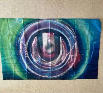 Ultra Japan 2018 플래그 flag