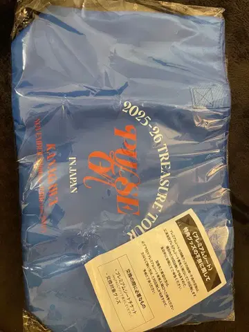 TREASURE 파란색 토트백