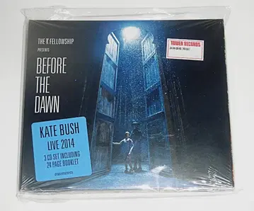 미개봉! CD 3장 세트 케이트 부시 [ 비포어 더 던 ] EU반