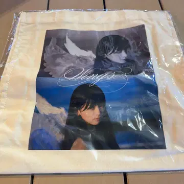 노기자카46 이케다 에레나 개인전 오리의 꿈 토트백