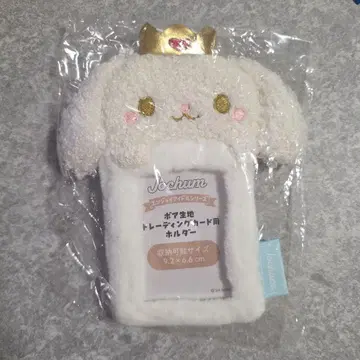 JOCHUM RURU 트레이딩 카드 케이스