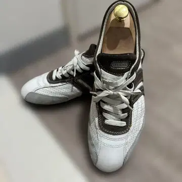 GEOX 화이트/브라운 스니커즈