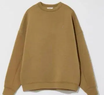 eaphi 로고 빅 스웨트 맨투맨