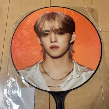 SEVENTEEN BE THE SUN 에스쿱스