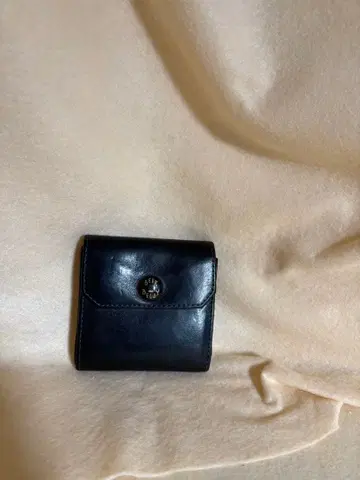 비어베리 해치백