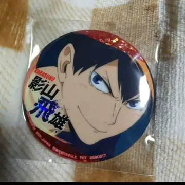 카게야마 카게야마 토비오 토비오 홀로그램 홀로 SEGA 세가 하이큐!!