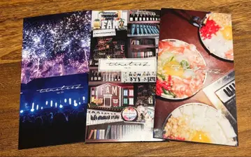 tintuz 팬클럽 뉴스레터