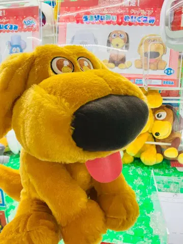 #미사용#더그#업#강아지#개#픽사