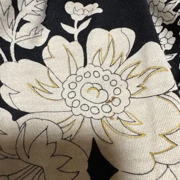 레오나르의 셋업