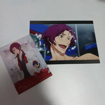 Free! 린 미니 클리어 파일 엽서