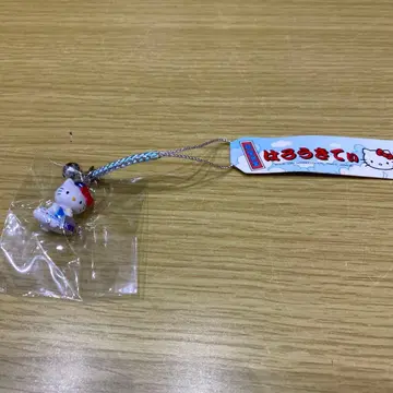 지역 한정 키티 스트랩 항공 안전.