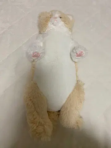 무릎 고양이 쌔근쌔근 CR