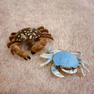 에포크사 지구 생명 기행 게 새우 참게 생물 피규어