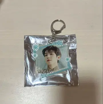 SEVENTEEN 원우 아크릴 키링