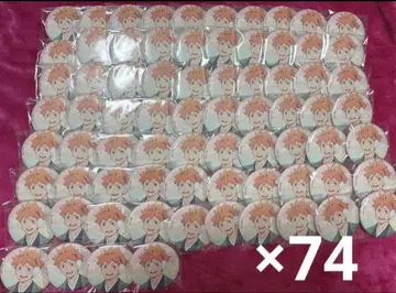 연말 처분 하이큐!! 히나타 쇼요 화지풍 캔뱃지