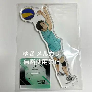 쿠니미 아키라 하이큐