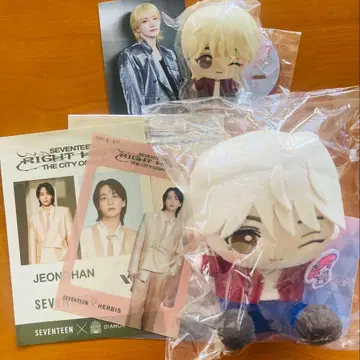 정한 seventeen 세부치 봉제 인형 키링 피규어