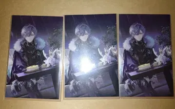 코야나기 로 니지산지 노스탤지어 컬렉션 3매 세트