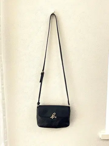 agnes b. 아네스베 미니 숄더백 블랙