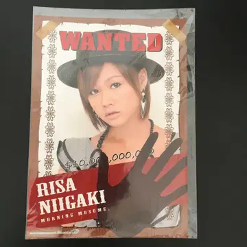 4536 모닝구무스메. 아라가키 리사 핀업 포스터