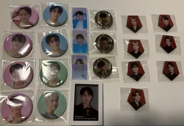 SEVENTEEN 세븐틴 마그넷 25개 일괄 정리품