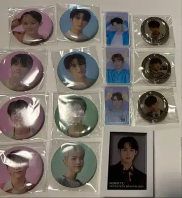 SEVENTEEN 세부치 마그넷 15개 일괄 정리 용품