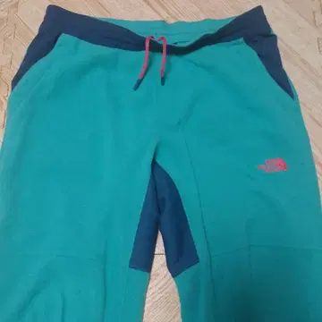 THE NORTH FACE 플리스 팬츠 그린/파랑
