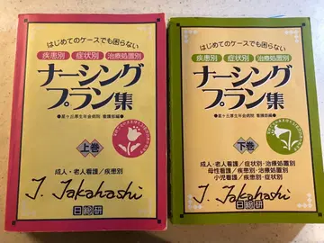 간호사 반지 플랜집 상권 하권