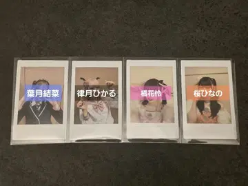 이기가리 도호쿠산 폴라로이드