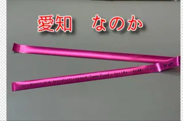 미나세 이노리 은색 테이프 10주년 투어 아이치 공연