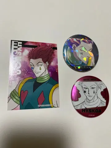 HUNTER x HUNTER 히소카 캔뱃지 외