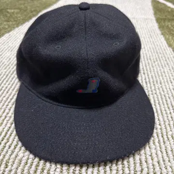 whimsy 플리스 캡