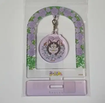 마츠이누 보스턴 6주년 아크릴 스탠드 오소마츠 6쌍둥이 이치마츠