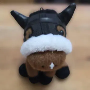 아몬드 아이 아이돌 호스 S