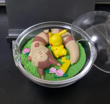 포켓몬스터 라티오스 테라리움 컬렉션 8 Terrarium