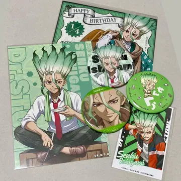 Dr.STONE 이시가미 센쿠 묶음 판매 센쿠