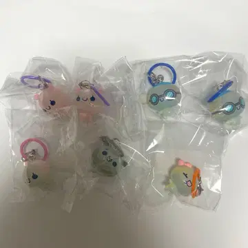 푹푹 아와와짱 콜롱토 클리어 메지루시 참