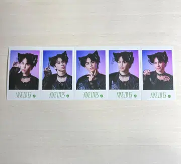 초특급 타쿠야 REAL? 미니 사진