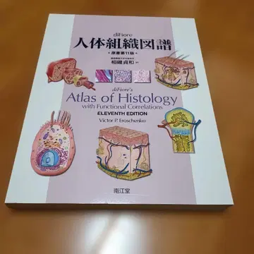 인체 조직도 제11판