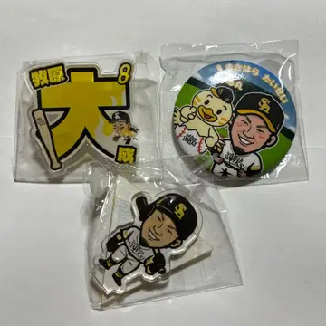 마키하라 타이세이 선수 와카타카 가챠