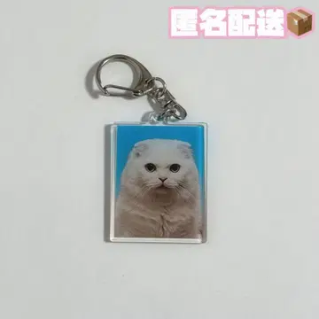 Royz 호타테 아크릴 키링