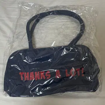 미즈사와 린타로 백