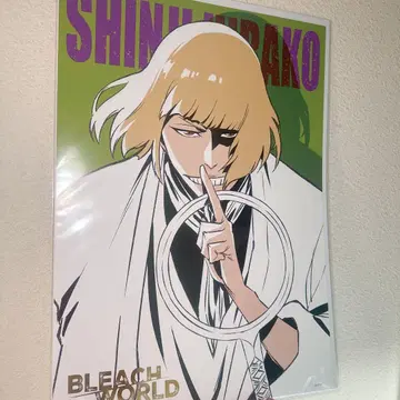 BLEACHWORLD 히라코 신지