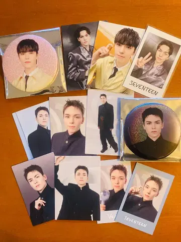 버논 seventeen 세부치 NEW 캔뱃지 트레이딩 카드 포토 카드